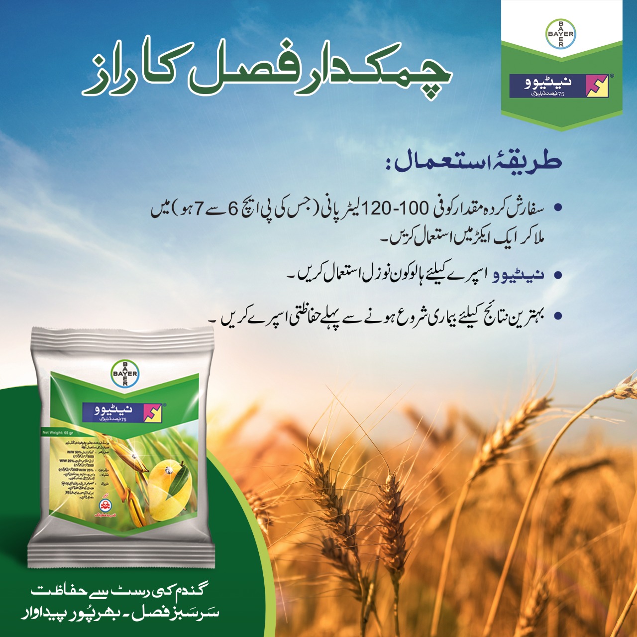 Nativo Bayer Fungicide - Image 3