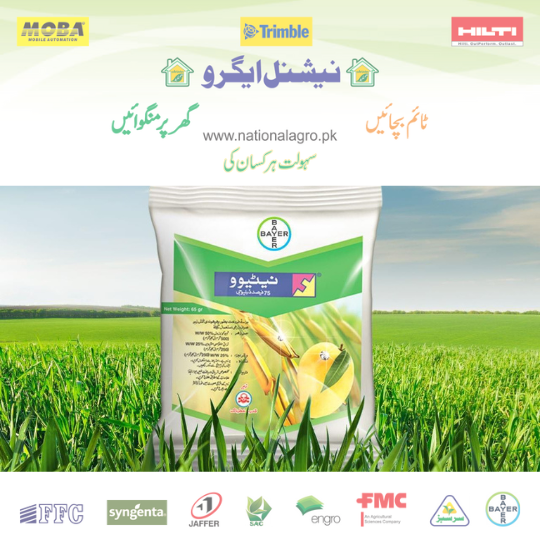 Nativo Bayer Fungicide