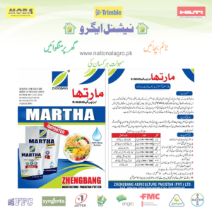 Martha N P K 20:20:20 + TE